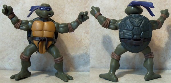 Shellastic Don turnaround