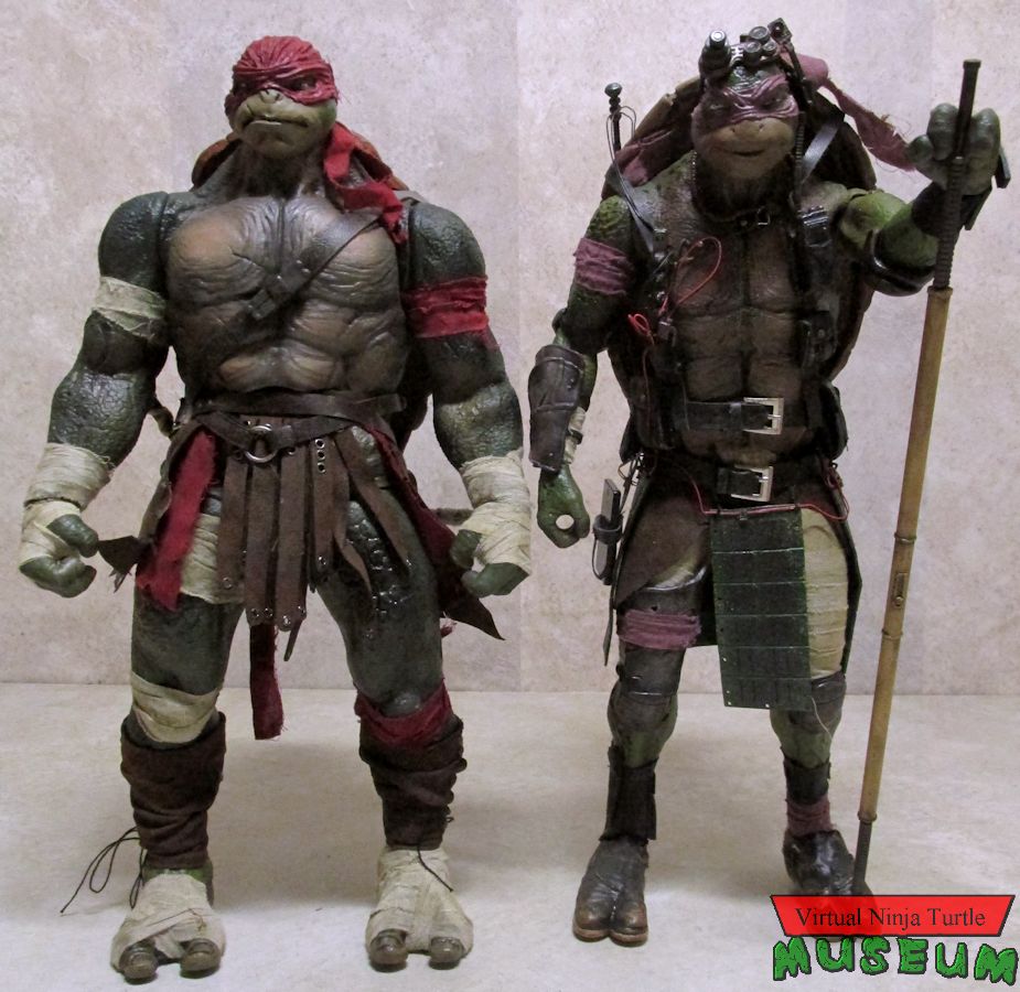 Raphael and Donatello